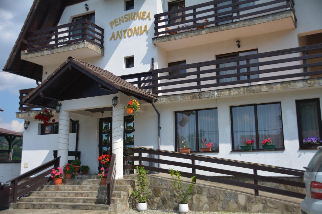Pensiunea Antonia Bran (Brasov) Exterior foto