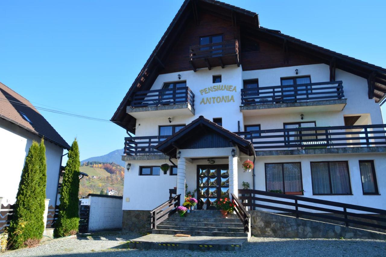 Pensiunea Antonia Bran (Brasov) Exterior foto