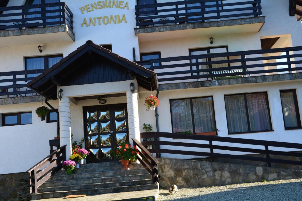 Pensiunea Antonia Bran (Brasov) Exterior foto