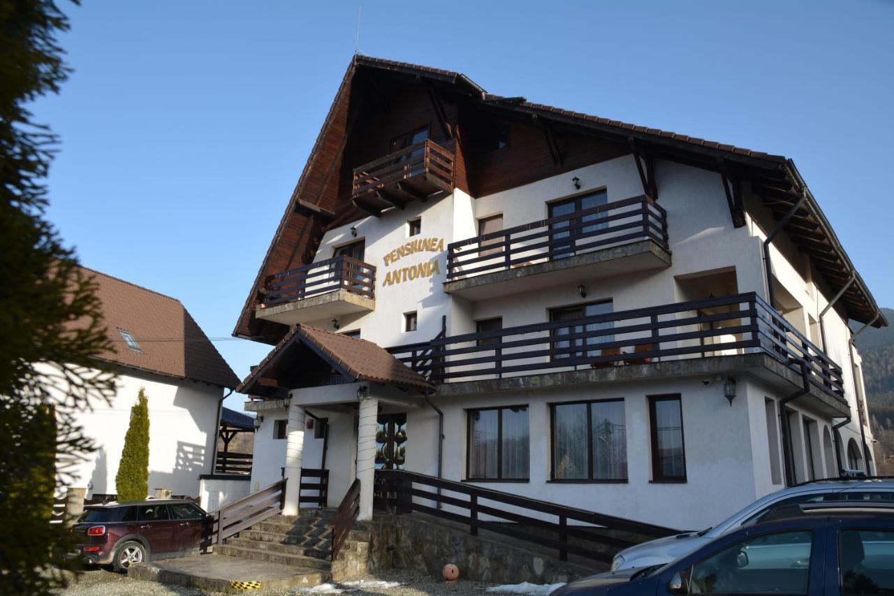 Pensiunea Antonia Bran (Brasov) Exterior foto