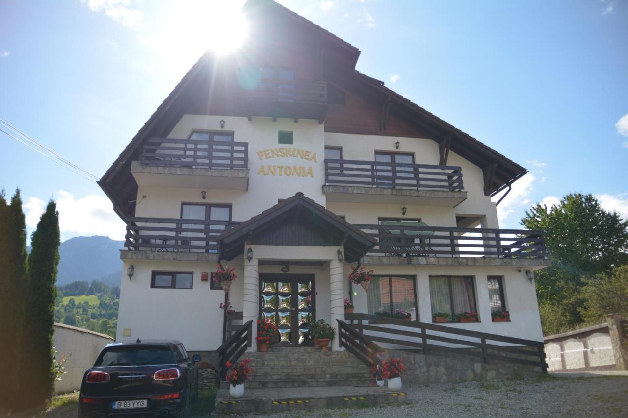 Pensiunea Antonia Bran (Brasov) Exterior foto